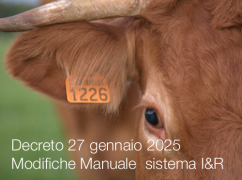 Decreto 27 gennaio 2025 