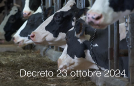 Decreto 23 ottobre 2024