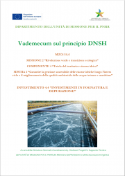 Vademecum principio DNSH investimenti in fognatura e depurazione