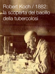 Robert Koch / 1882: la scoperta del bacillo della tubercolosi