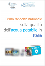 1° Rapporto Centro Nazionale per la Sicurezza delle Acque (CeNSiA)