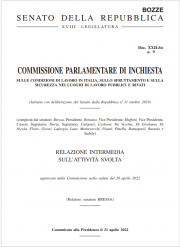 Commissione parlamentare di inchiesta sicurezza lavoro 2019