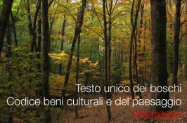 Testo unico boschi e Codice beni culturali e paesaggio: interazioni