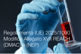 Regolamento (UE) 2025/1090 Regolamento (UE) 2025/1090