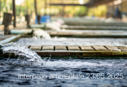 Interpello ambientale 23.05.2025 - Possibilità di trattare le acque emunte in impianti depurativi idonei esterni al sito Interpello ambientale 23.05.2025 - Possibilità di trattare le acque emunte in impianti depurativi idonei esterni al sito