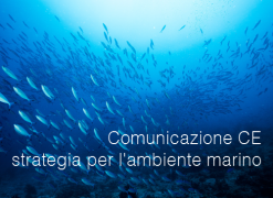 Comunicazione CE strategia per l'ambiente marino