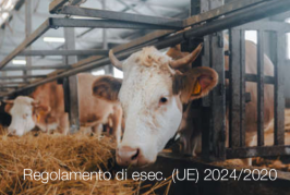 Regolamento di esecuzione (UE) 2024/2020 