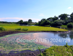 Decisione (UE) 2024/721