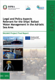 BALMAS Project Final Report