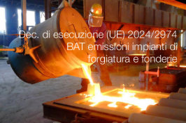 Decisione di esecuzione (UE) 2024/2974 