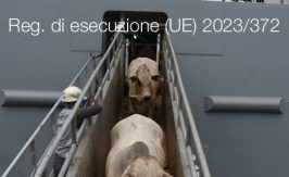Regolamento di esecuzione (UE) 2023/372