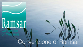 La Convenzione di Ramsar