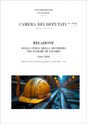 Relazione annuale sullo stato della sicurezza nei luoghi di lavoro - Anno 2024 Relazione annuale sullo stato della sicurezza nei luoghi di lavoro - Anno 2024