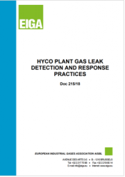 HYCO Plant Gas Leak Detection and Response Practices
