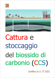 Cattura e stoccaggio geologico di biossido di carbonio