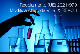 Regolamento (UE) 2021/979