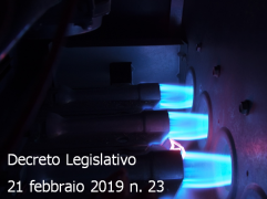 Decreto Legislativo 21 febbraio 2019 n. 23 