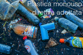 Plastica monouso: Direttiva adottata