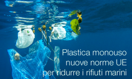 Plastica monouso: nuove norme UE per ridurre i rifiuti marini