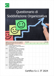 Questionario di Soddisfazione Organizzativa / Cortese 2001