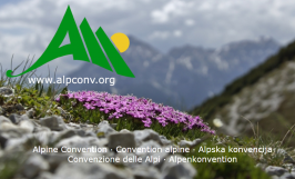 Convenzioni delle Alpi
