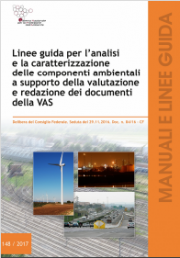 Linee guida analisi component ambientali VAS