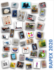 RAPEX: Report annuale Certifico 2020