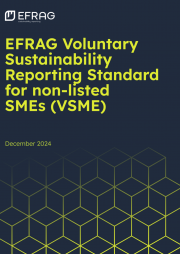 Standard volontario report sostenibilità PMI non quotate