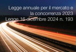 Legge 16 dicembre 2024 n. 193