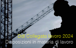 DDL Collegato lavoro 2024 - Disposizioni in materia di lavoro