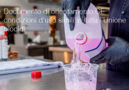 Documento di orientamento CE condizioni d'uso simili in tutta l’Unione biocidi Documento di orientamento CE condizioni d'uso simili in tutta l’Unione biocidi