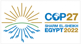 Conferenza di Sharm el Sheikh sui cambiamenti climatici (COP 27)