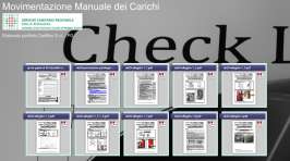 Check-list a schede Movimentazione Manuale dei Carichi - AUSL Reggio Emilia