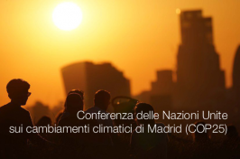 Conferenza delle Nazioni Unite sui cambiamenti climatici di Madrid (COP25)