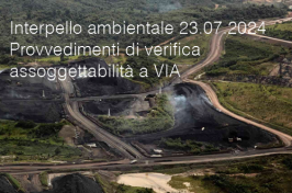 Interpello ambientale 23.07.2024 - Provvedimenti di verifica di assoggettabilità a VIA