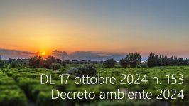 Decreto-Legge 17 ottobre 2024 n. 153