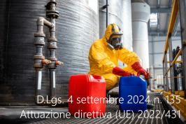 Decreto Legislativo 4 settembre 2024 n. 135