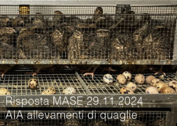 Risposta MASE 29.11.2024 - AIA allevamenti di quaglie