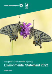 Environmental statement EEA 2022