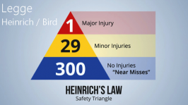 La legge di Heinrich / Bird