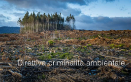 Direttiva criminalità ambientale