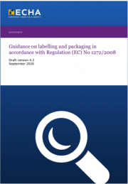Guidance on labelling and packaging CLP | Version 4.2 2020 Draft 