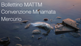 Bollettino MATTM Convenzione Minamata Mercurio