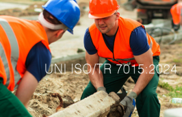 UNI ISO/TR 7015:2024 - Applicazione ISO/TR 12295, ISO 11226, ISO 11228 e ISO/TR 23476 in edilizia civile