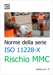 Norme della serie 11228-X