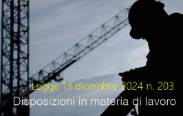 Legge 13 dicembre 2024 n. 203