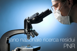 Piano nazionale per la ricerca dei residui (PNR)