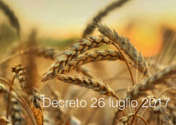 Decreto 26 luglio 2017 / Indicazione dell'origine in etichetta paste di semola di grano duro