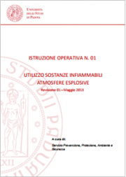 Rischi specifici: Istruzioni operative D.Lgs. 81/08 - UNIPD