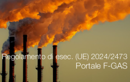 Regolamento di esecuzione (UE) 2024/2473